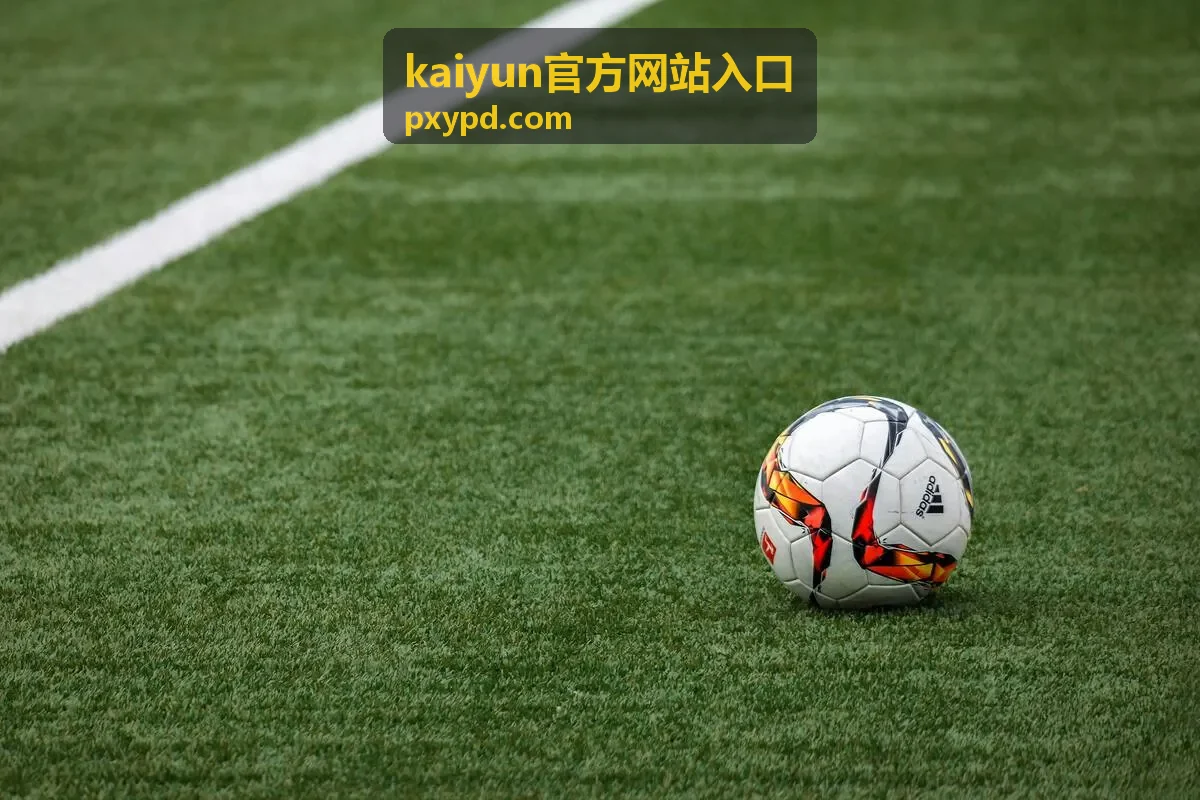 kaiyun官方网站入口地址比对示意图
