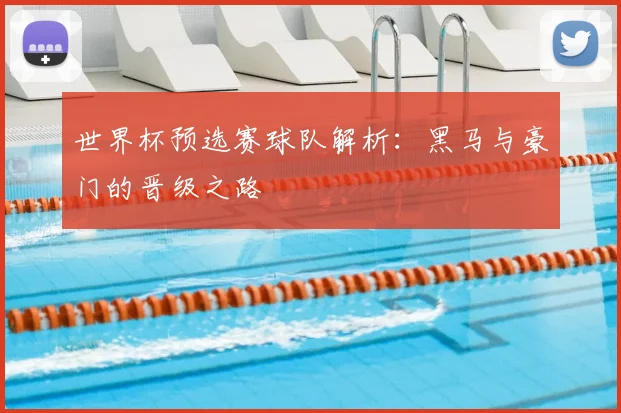 世界杯预选赛球队解析:黑马与豪门的晋级之路