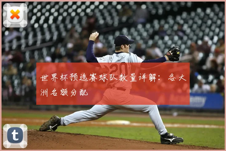 世界杯预选赛球队数量详解：各大洲名额分配