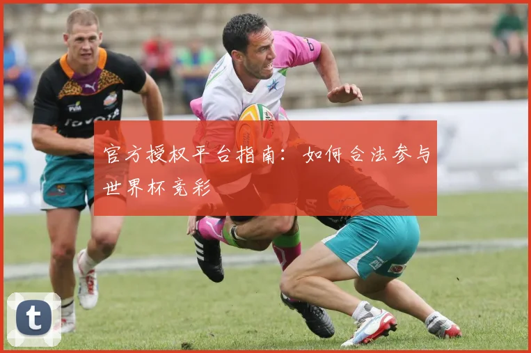 官方授权平台指南:如何合法参与世界杯竞彩