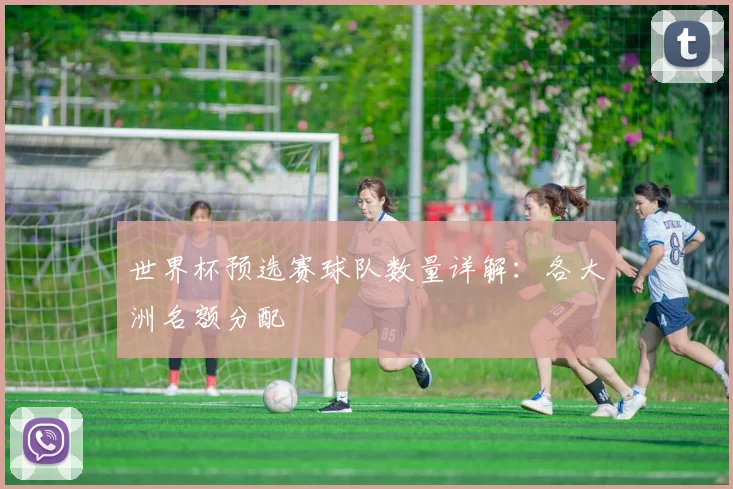 世界杯预选赛球队数量详解:各大洲名额分配